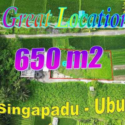 TJUB876 - Tanah Murah di Ubud